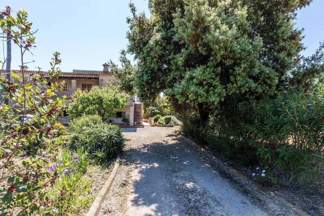 Panada Villa Pollença